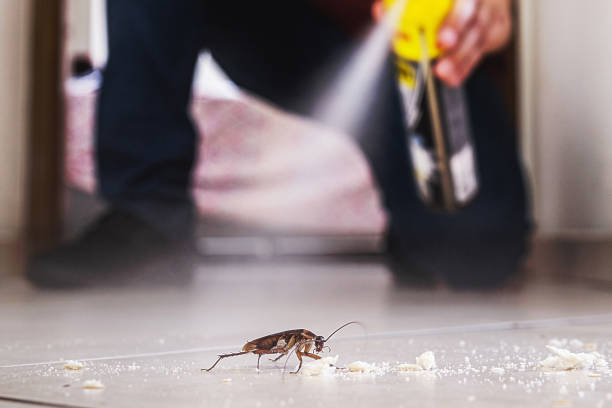 Best Best Pest Control Companies  in Easton, MD